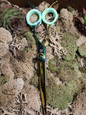 Groombox Lucky Curved Scissors